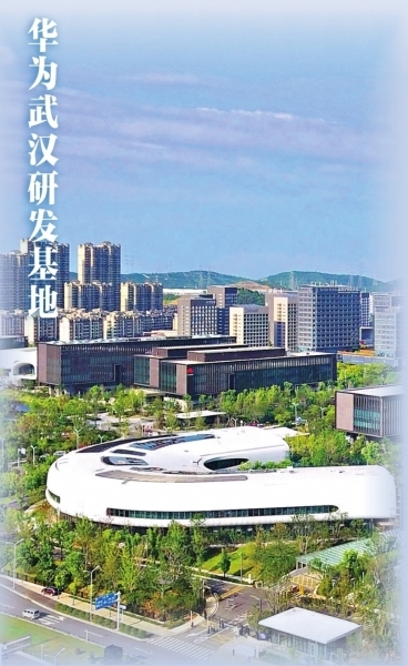 p2493_b.jpg