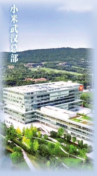 p788D_b.jpg